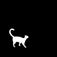 ServerCat - SSH Terminal pour PC