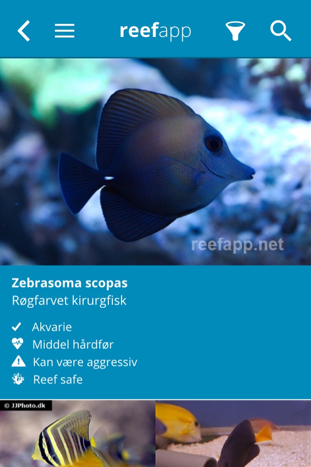 Reef App - Encyclopedia screenshot 2