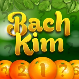 Bach Kim Riddle