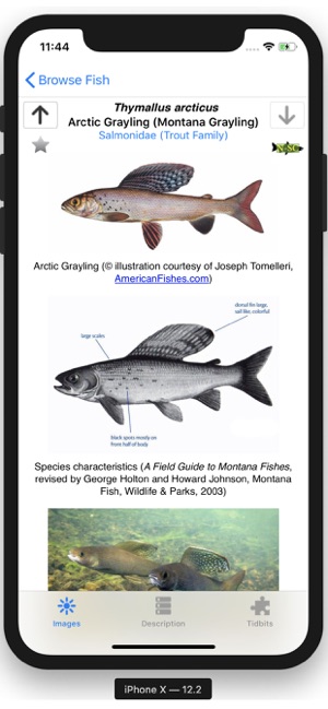 Fishes of Montana(圖5)-速報App