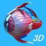 Get Anatomy Human Eye for iOS, iPhone, iPad Aso Report
