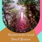 Our Monteverde Cloud Forest Reserve travel guide gives information on travel destinations, food, festivals, things to do & travel tips on where to visit and where to stay