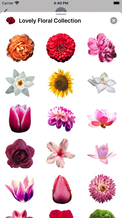 Lovely Flower Collection screenshot-3