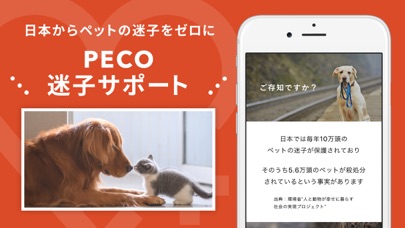 PECO(ペコ)：可愛いどうぶつ動画・迷子... screenshot1