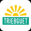 Triebguet