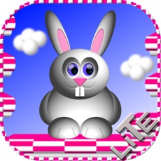 Activities of Bunny Hopper Lite