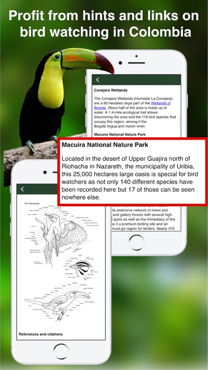 All Birds Colombia field guide screenshot-5
