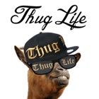 Thug Life Maker - Create Funny Videos & Photos