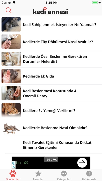 Kedi Annesi