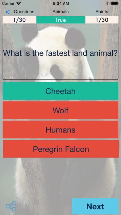Quiz Trivia for Everyone screenshot 3