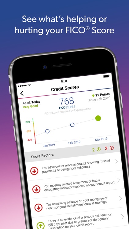 Experian Credit Report screenshot-3
