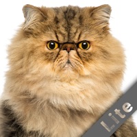 Go Away! -Lite pour PC