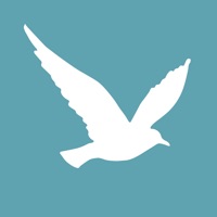 金滩南海 pour PC