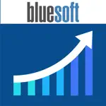 Bluesoft Sales Analytics App Problems