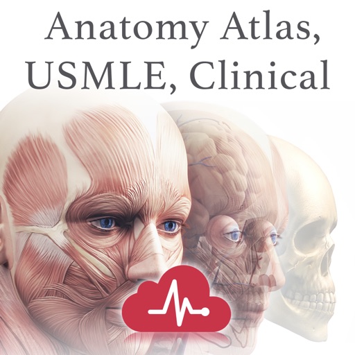 Anatomy Atlas, USMLE, Clinical Icon