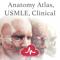 App Icon for Anatomy Atlas, USMLE, Clinical App in Pakistan IOS App Store