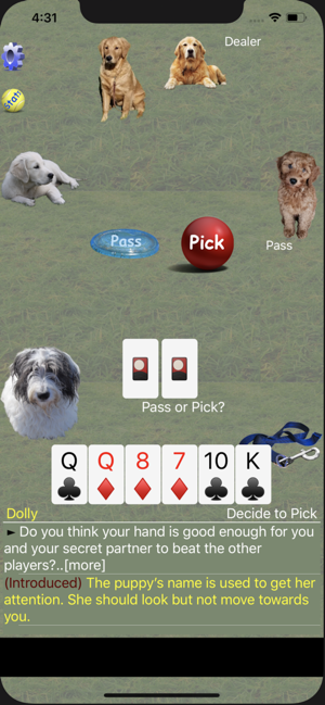 K9 Sheepshead: Schafkopf Cards(圖3)-速報App