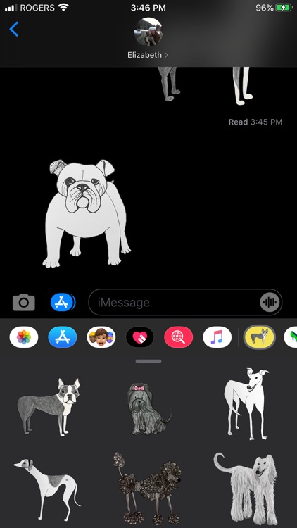 Dogs Dogs Dogs