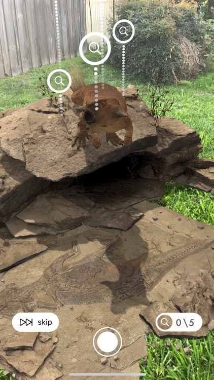 Famous Fossil
