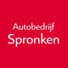 Autobedrijf Spronken