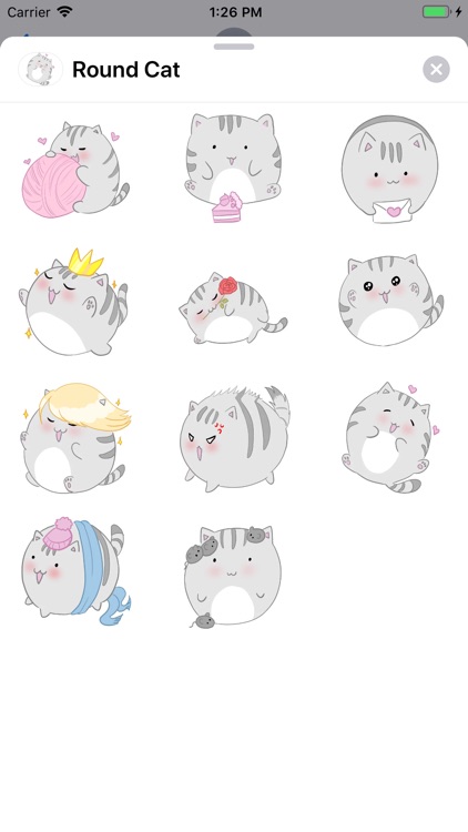 Round Cat Sticker Pack
