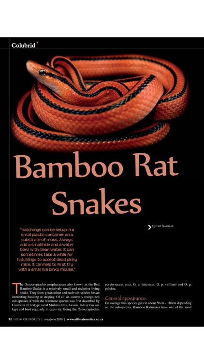 Ultimate Exotics Magazine