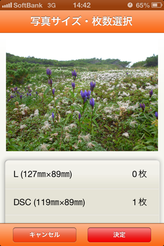 写真プリント注文 screenshot 3