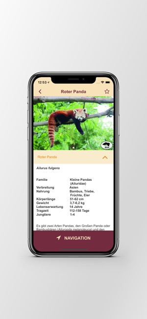 Opel-Zoo App(圖3)-速報App