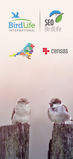 Censos SEO BirdLife