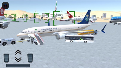 Flight 737 - Maximum screenshot1
