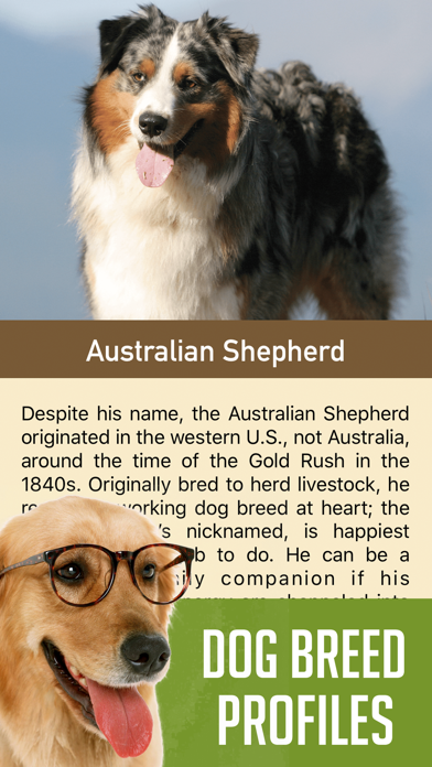 DogSnap - Dog Breed Identifier screenshot 4