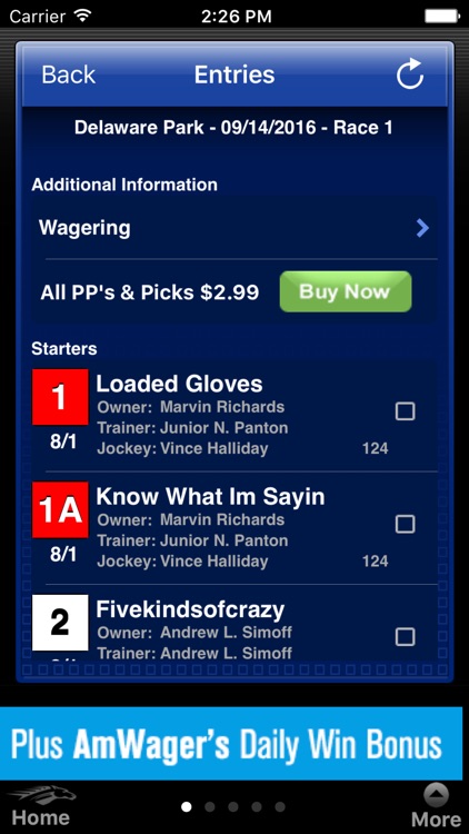 Horse Races Now