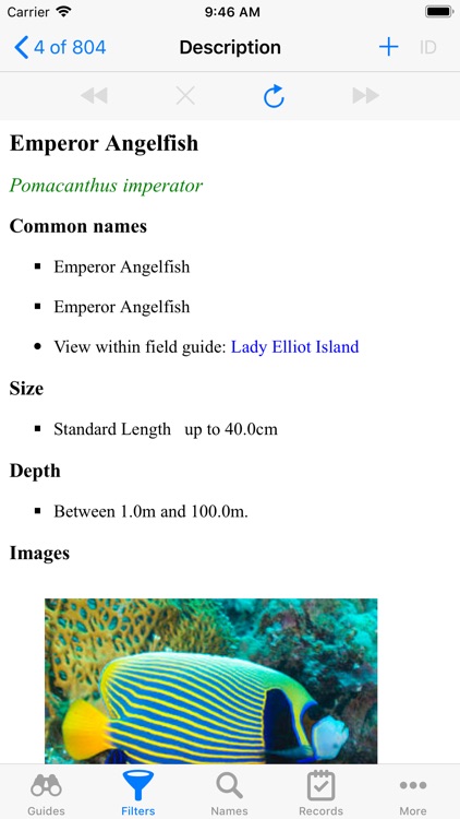 Lady Elliot Island screenshot-3