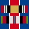 Build your ribbon rack in seconds: choose your branch, pick your ribbons, and add devices
