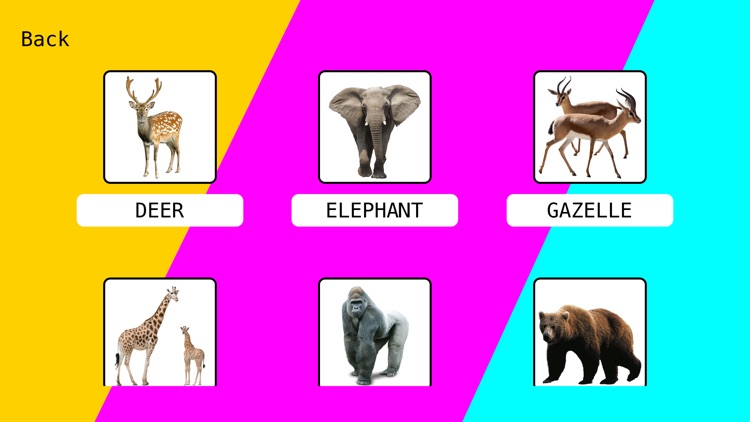 English Memory - Education