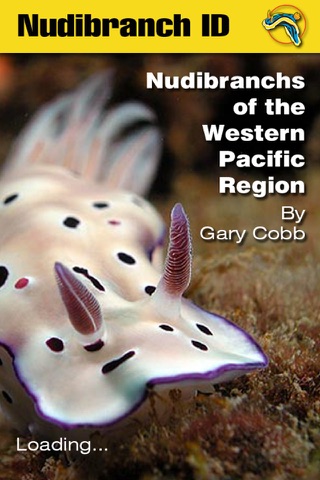 Nudibranch ID Western Pacific - náhled