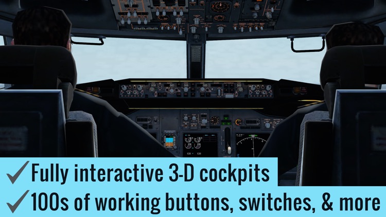 X-Plane Flight Simulator screenshot-5