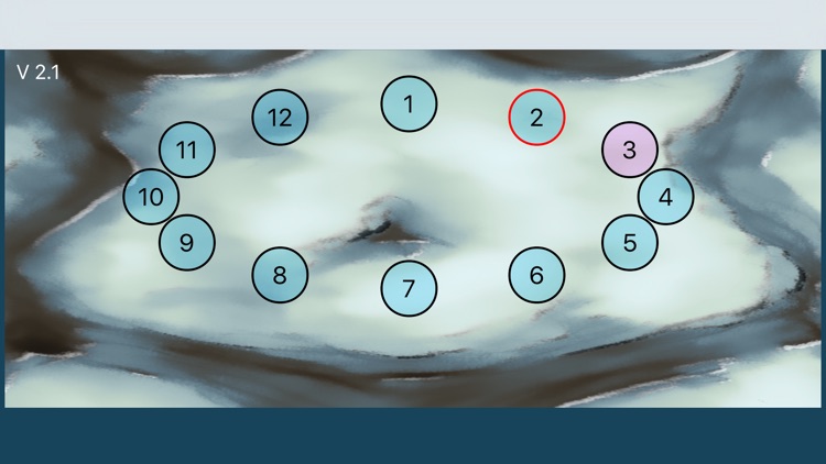 ShotPut-insulin site rotation screenshot-4