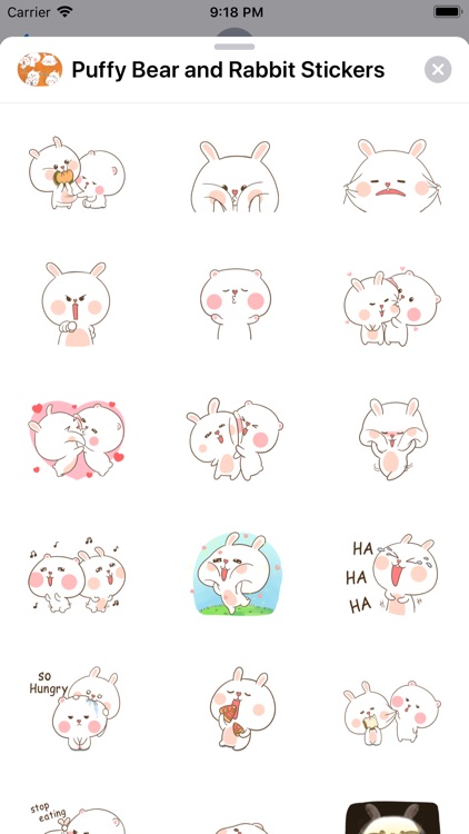 Puffy Bear and Rabbit Stickers