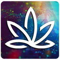 420 Digital Radio pour PC