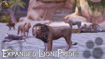 【图】Ultimate Lion Simulator 2(截图3)