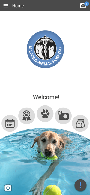 Milford Animal Hospital(圖1)-速報App