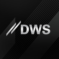 delete DWS Investment