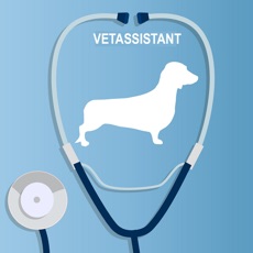 Activities of Veterinary Assistant Quizzes