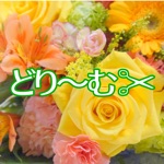どり～む