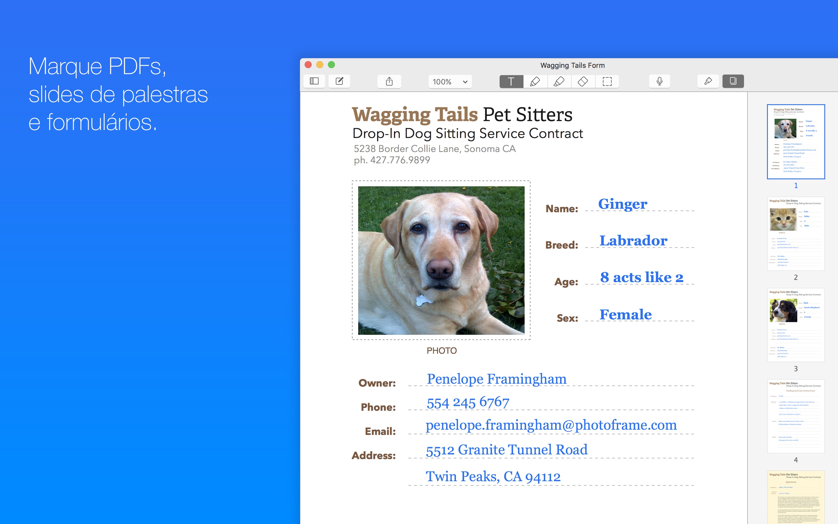 Screenshot do app Notability
