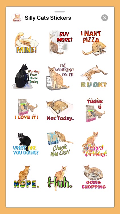 Silly Cats Stickers by Jennifer Mullett