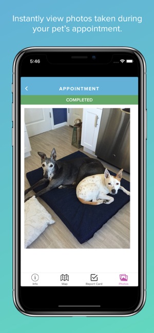 Scout for Pet Owners(圖5)-速報App