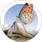 Top 19 Education Apps Like Yosemite Butterflies - Best Alternatives