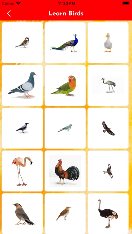 Kids - Animal Learning screenshot-3